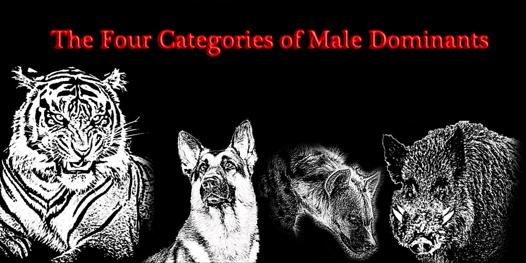 The Four Categories of Male Dominants